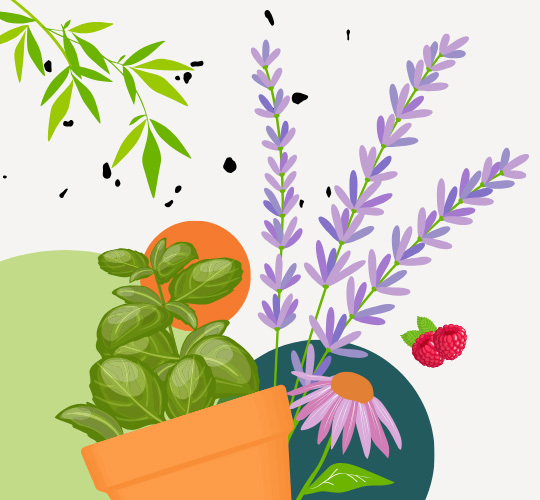 Journée horticole 2026